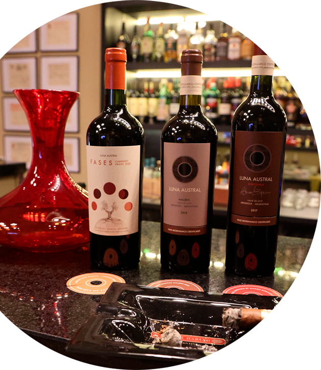 Botellas de vino Luna Austral